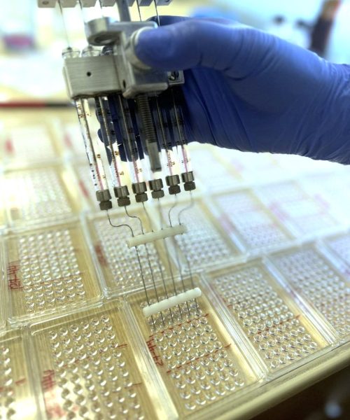 IMG_20241126_142354_481